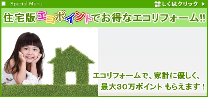 住宅版エコポイント制度