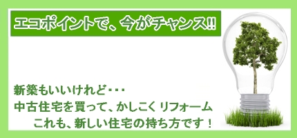 住宅版エコポイント