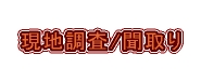 現地調査