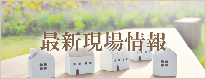 最新現場情報