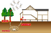 シロアリの習性