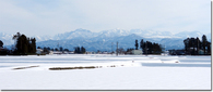 冬の田園風景