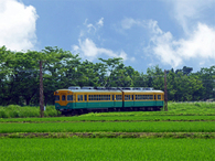 田園中の電車