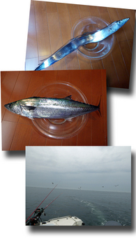 太刀魚釣り